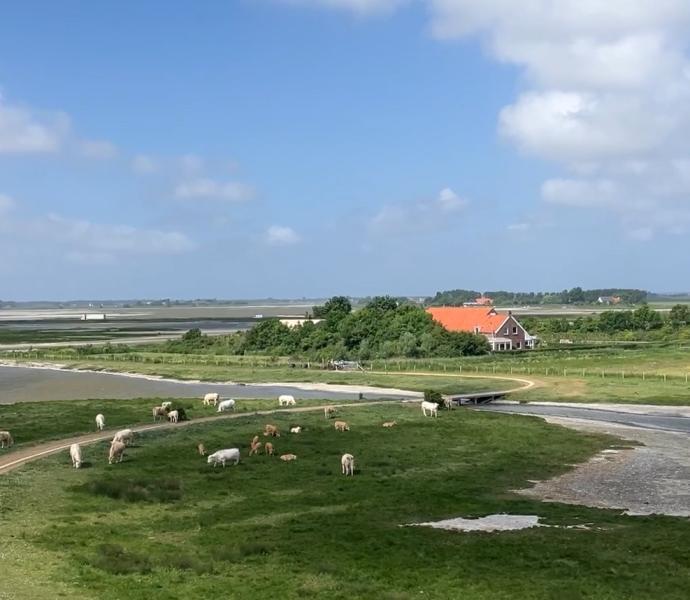 Platte van Schouwen