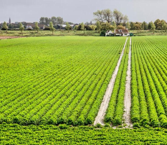 akker op Schouwen-Duiveland