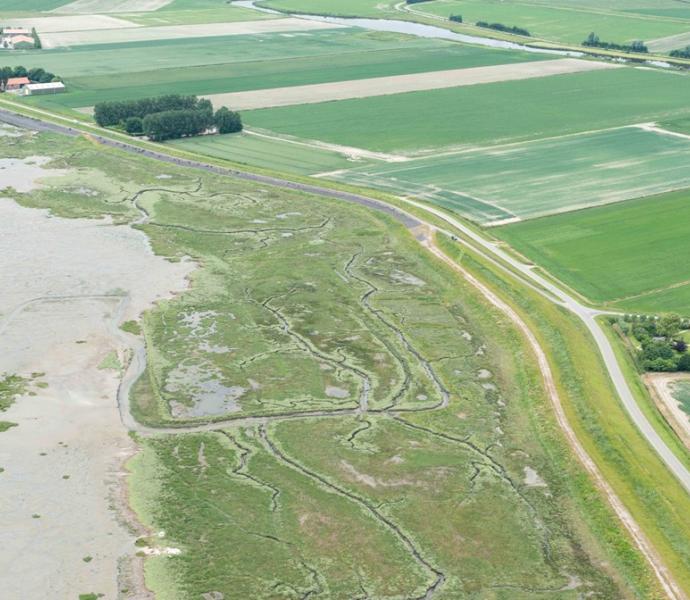 Gebiedscoalitie Zierikzee-Bruinisse