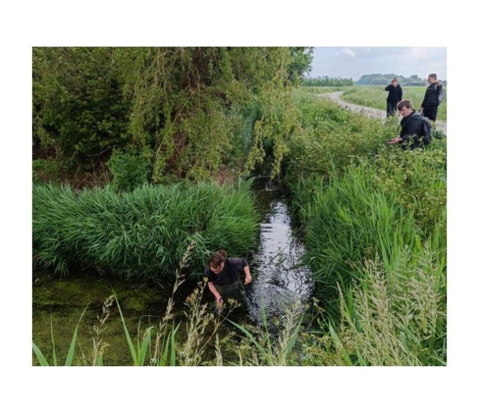 EC-metingen voor fieldlab Dijkwater.